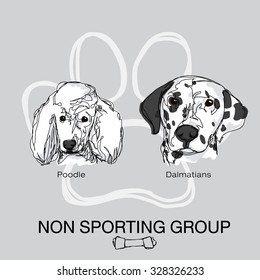 pet dog non sporting breeds group pack 3 , poodle , dalmatians