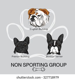 pet dog non sporting group breeds pack ,english bulldog, french bulldog , boston terrier