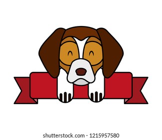 pet dog with ribbon on white background