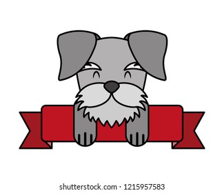 pet dog with ribbon on white background