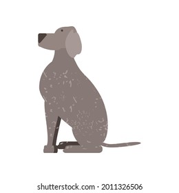 pet dog sitting animal cartoon isolated