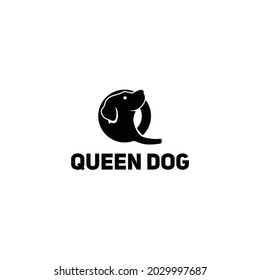 a pet dog that can maintain and sharp sense of smell