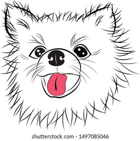 pet dog vector Pomeranian puppy doggy