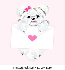 Pet Dog White Bow Is Holding The Envelope With A Heart