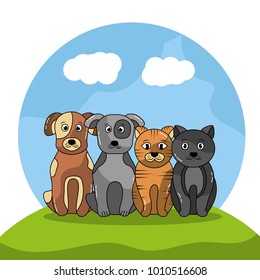 pet dogs and cats sitting with landscape image