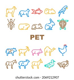 Pet Domestic, Farm And Sea Aqua Icons Set Vector. Mice And Hamster, Dog Puppy And Cat Kitty Pet, Horse And Camel, Parrot And Chicken Bird, Turtle And Aquarium Fish Line. Color Illustrations