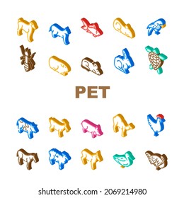 Pet Domestic, Farm And Sea Aqua Icons Set Vector. Mice And Hamster, Dog Puppy And Cat Kitty Pet, Horse And Camel, Parrot And Chicken Bird, Turtle And Aquarium Fish Isometric Sign Color Illustrations