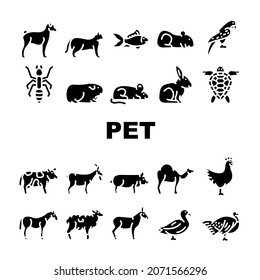 Pet Domestic, Farm And Sea Aqua Icons Set Vector. Mice And Hamster, Dog Puppy And Cat Kitty Pet, Horse And Camel, Parrot And Chicken Bird, Turtle And Aquarium Fish Glyph Pictograms Black Illustrations