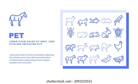 Pet Domestic, Farm And Sea Aqua Landing Web Page Header Banner Template Vector Mice And Hamster, Dog Puppy And Cat Kitty Pet, Horse And Camel, Parrot And Chicken Bird, Turtle And Aquarium Illustration