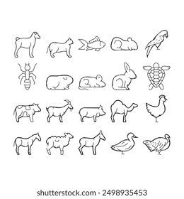 Pet Domestic, Farm And Sea Aqua Icons Set Vector. Mice And Hamster, Dog Puppy And Cat Kitty Pet, Horse And Camel, Parrot And Chicken Bird, Turtle And Aquarium Fish Contour Illustrations