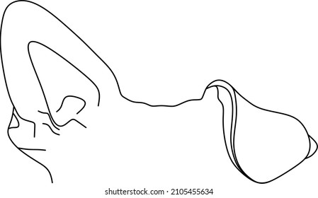 Pet Ear Outline Drawing Dog Ear Drawing Cat Ear Drawing Pet Ear Tattoo Digital Portrait Emailed  vector layout cricut