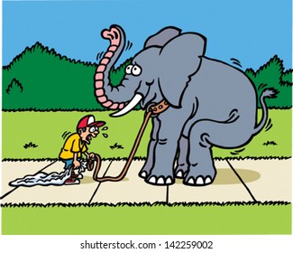 Pet Elephant