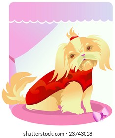 pet of the family