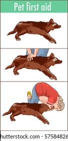 pet first aid illustration
