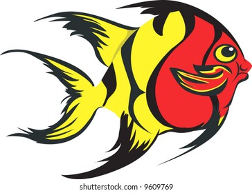  a pet fish swimming in white in front of white surface	