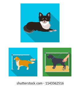 Pet flat icons in set collection for design. Care and education vector symbol stock web illustration.