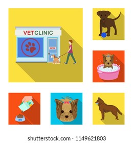 Pet flat icons in set collection for design. Care and education vector symbol stock web illustration.