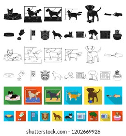 Pet flat icons in set collection for design. Care and education vector symbol stock web illustration.