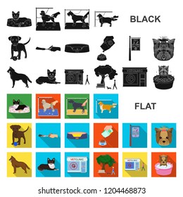 Pet flat icons in set collection for design. Care and education vector symbol stock web illustration.