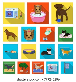 Pet flat icons in set collection for design. Care and education vector symbol stock web illustration.