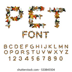 Pet font. Cat alphabet. letters of cats. Pets typography