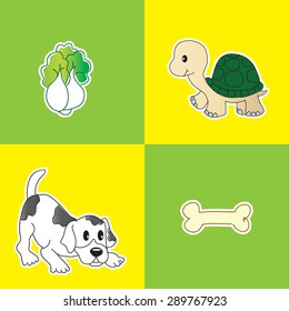 pet and food