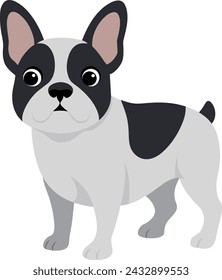 pet french bulldog vecor illustration