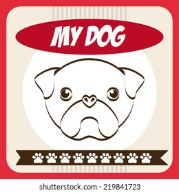 pet graphic design , vector illustration