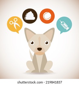 pet graphic design , vector illustration