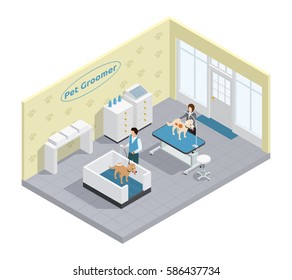 Pet groomer in pet grooming salon with dogs isometric vector illustration