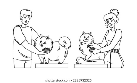 pet groomer vector. dog salon, animal hair, hairstyle hand, care canine, brush barber pet groomer character. people Illustration