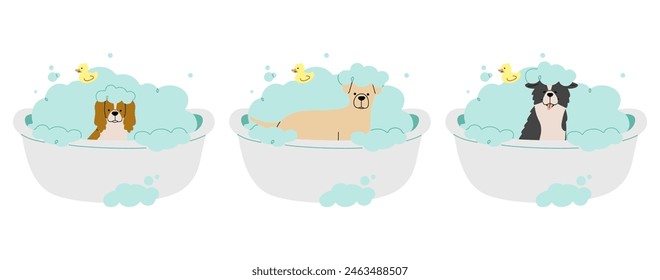 Pet Grooming 11 cute on a white background, vector illustration.
