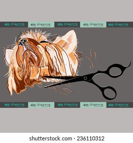 Pet Grooming