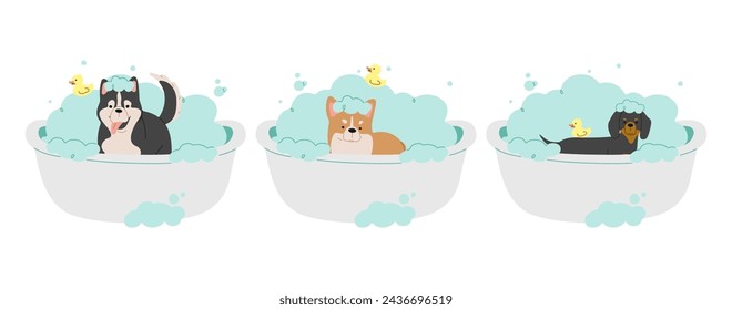 Pet Grooming 5 cute on a white background, vector illustration.