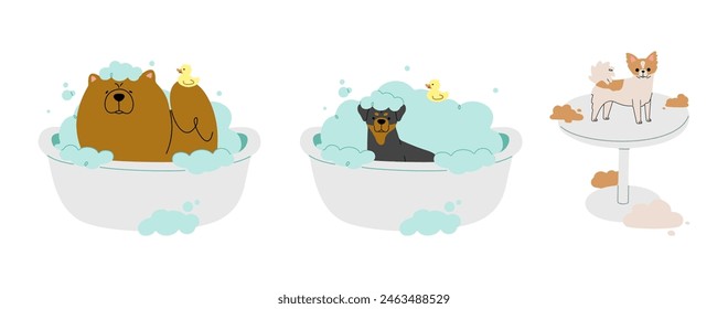 Pet Grooming 8 cute on a white background, vector illustration.