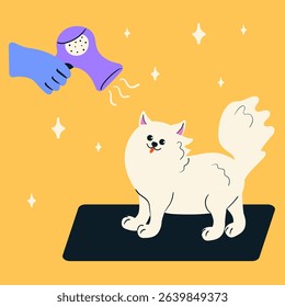 Pet grooming salon. Hand dries puppys hair. Pet grooming salon. Professional groomer. Doodle style isolated vector illustration.