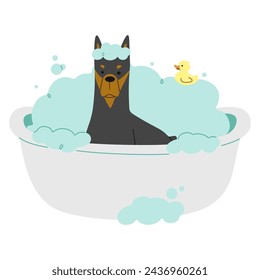 1 lindo sobre un fondo blanco, ilustración vectorial.