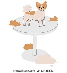 Pet Grooming single 14 cute on a white background, vector illustration.