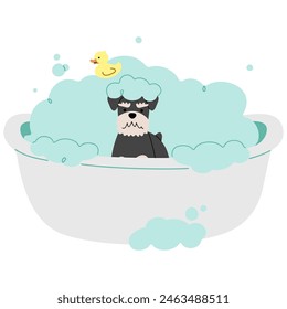 Pet Grooming single 16 cute on a white background, vector illustration.