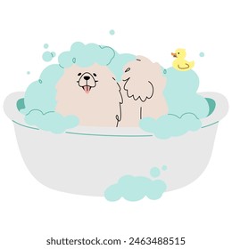 Pet Grooming single 17 cute on a white background, vector illustration.