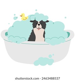 Pet Grooming single 23 lindo sobre un fondo blanco, Ilustración vectorial.