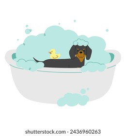 Pet Grooming Single 4 lindo sobre un fondo blanco, ilustración vectorial.