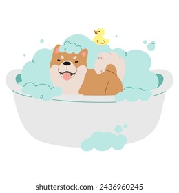 Pet Grooming Single 5 cute on a white background, vector illustration.