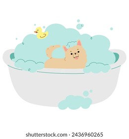 Pet Grooming Single 8 cute on a white background, vector illustration.