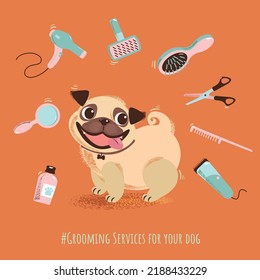 Pet grooming tools set. Pug dog and grooming products, shampoos, hair dryer, combs, scissors. Beauty salon for domestic animals, Pet shop. Flat vector 