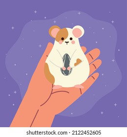 pet hamster with seed food