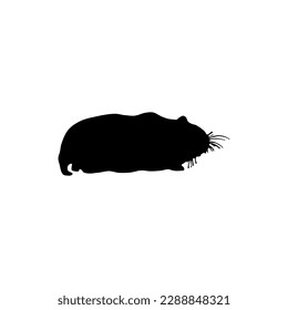 Pet Hamster silhouette. Block Black Sign Symbol Icon vector illustration in trendy flat style. Editable graphic resources for many purposes.