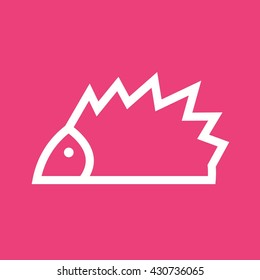 Pet Hedgehog