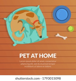 Pet at Home Banner Template with Cute Dog Sleeping on a Mat, View from Above Flat Vector Illustration