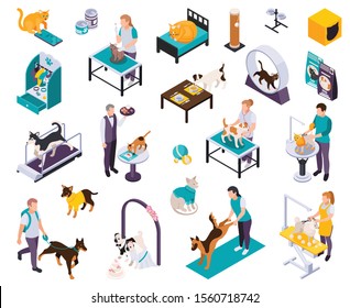 Pet Hotel Day Care Center Gym Playground Dogs Grooming Walking Vet Examination Services Isometric Icons Set Vector Illustration 